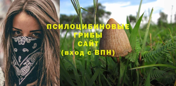винт Нягань