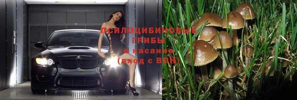 винт Нягань